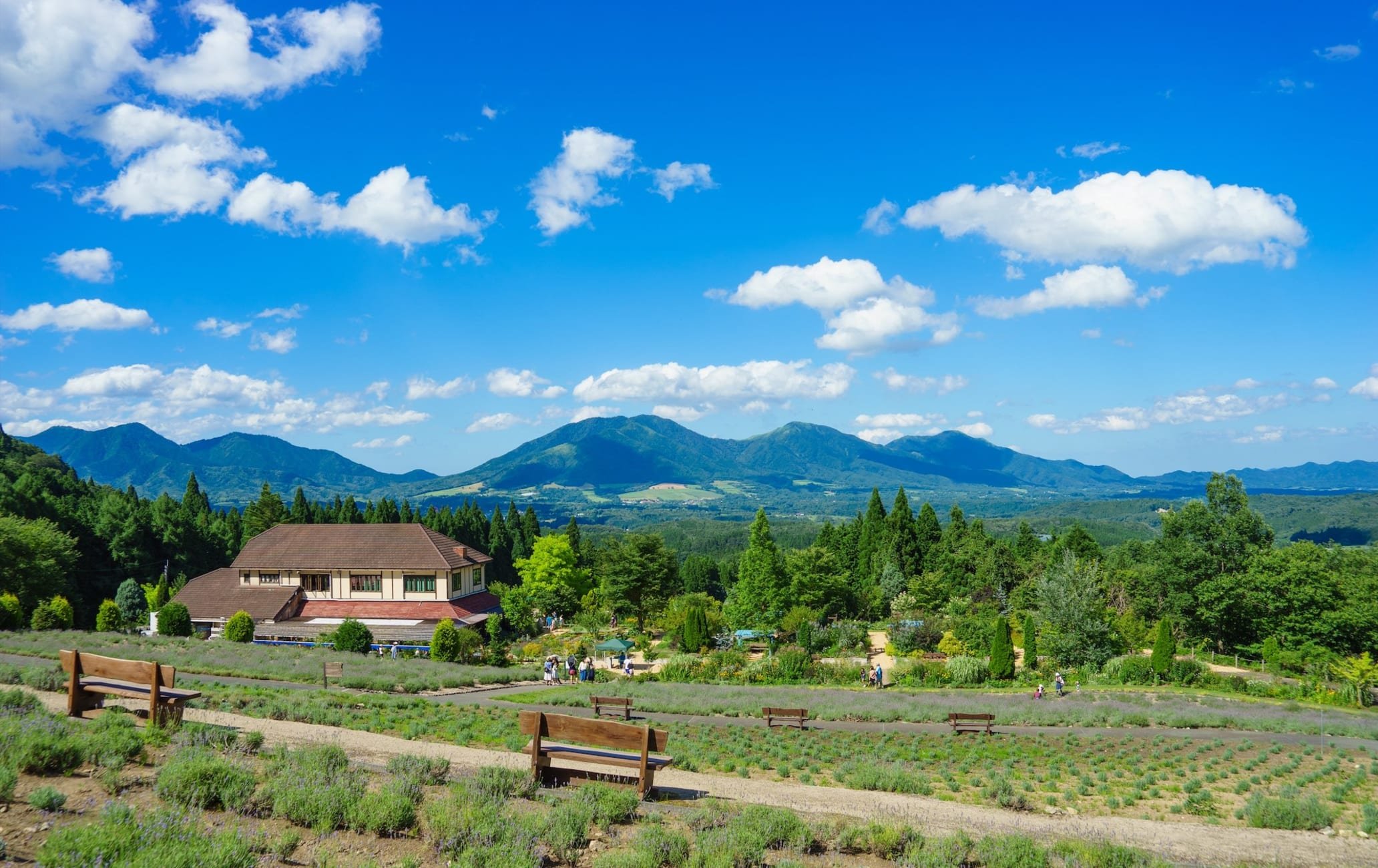 🌿 히루젠 허브 가든 허빌 이미지 3
